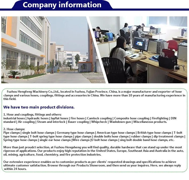 Professional Electric Diaphragm Pump Airless Paint Spray Equipment Te