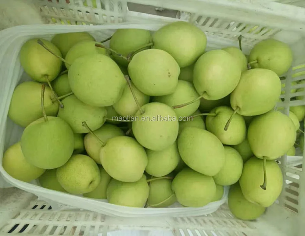 
Year 2017 Shandong Pears 