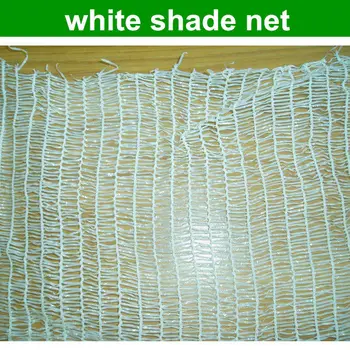 High Quality Greenhouse Net Grape Nursery Netting With Price High Quality Greenhouse Net Grape Nursery Netting With Price
