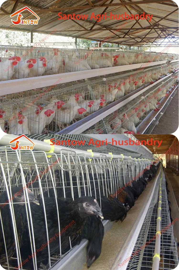 Hot Galvanized Chicken Poultry Cages Cold Galvanized Chicken Layer Cage Best Quality For Sale Nigeria Africa