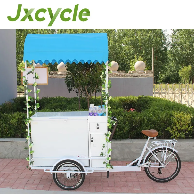 ice cream bike freezer for sale