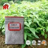 Borneol bulk D-borneol 96%min