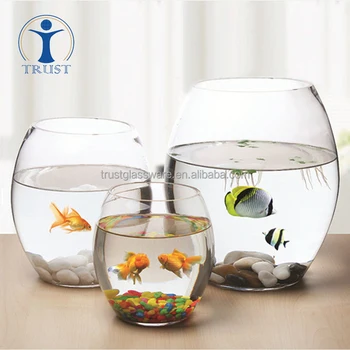 small round fish tank