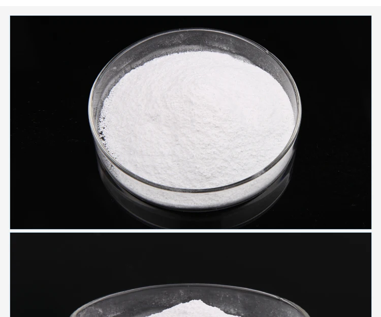 Albendazole_06.jpg