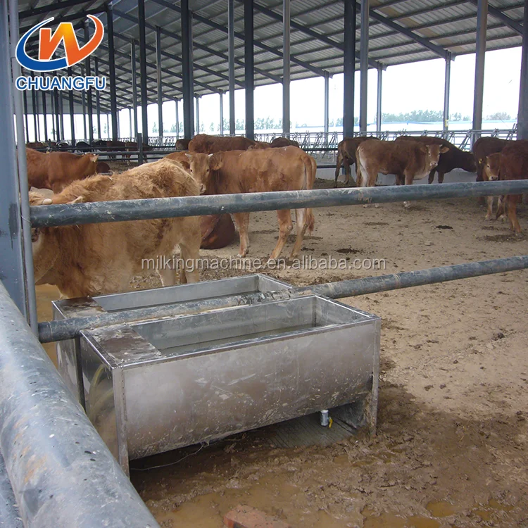 Factory Prices High Quality Stainless Steel Cattle Drinking Water