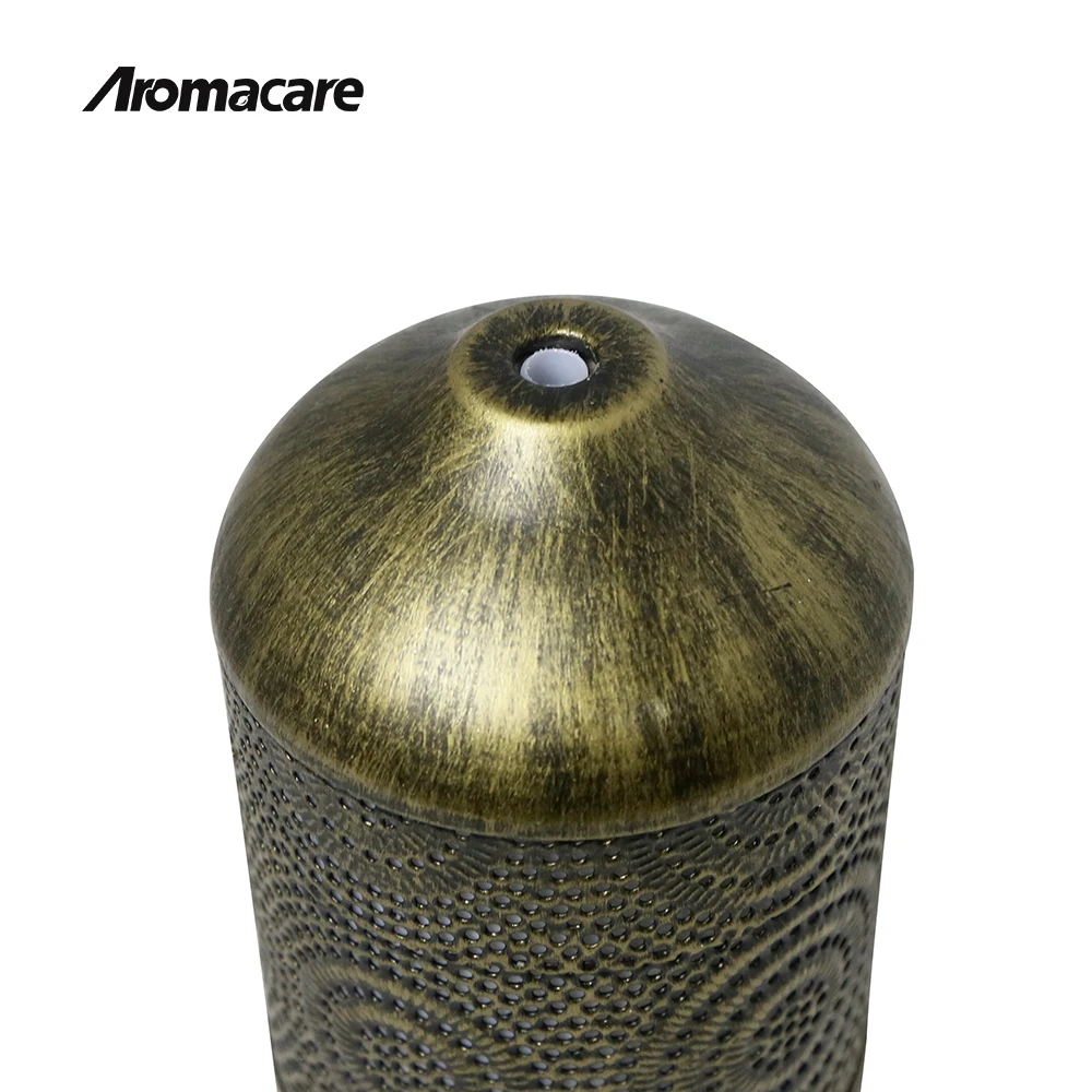 
Aromacare NEW coming promotion gifts commercial car electric essential oils aroma diffuser 