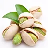 best grade quality Pistachio Nuts