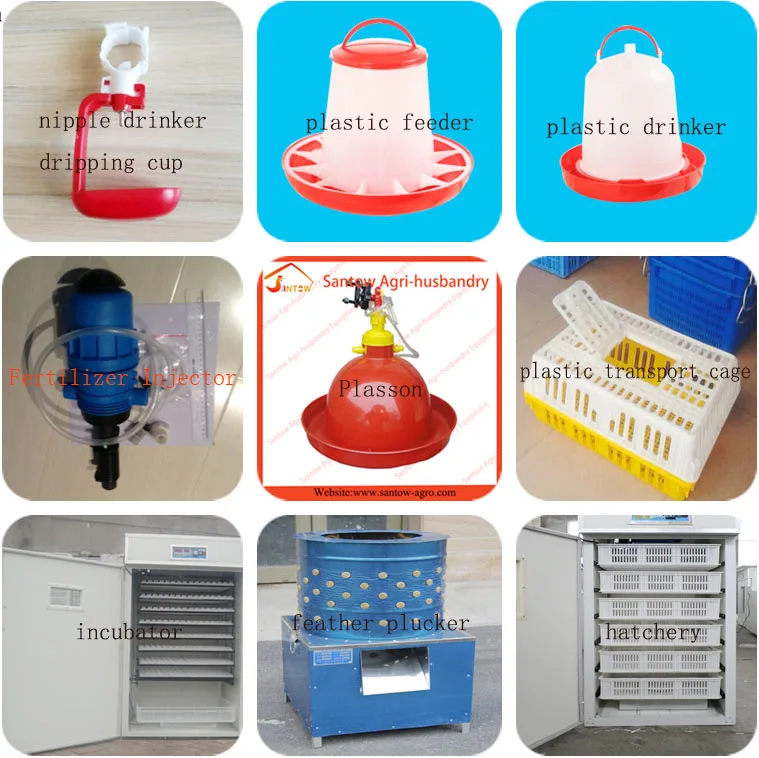 Automatic chicken cages hot galvanized poultry cage cheap price egg layers cage design for farm design