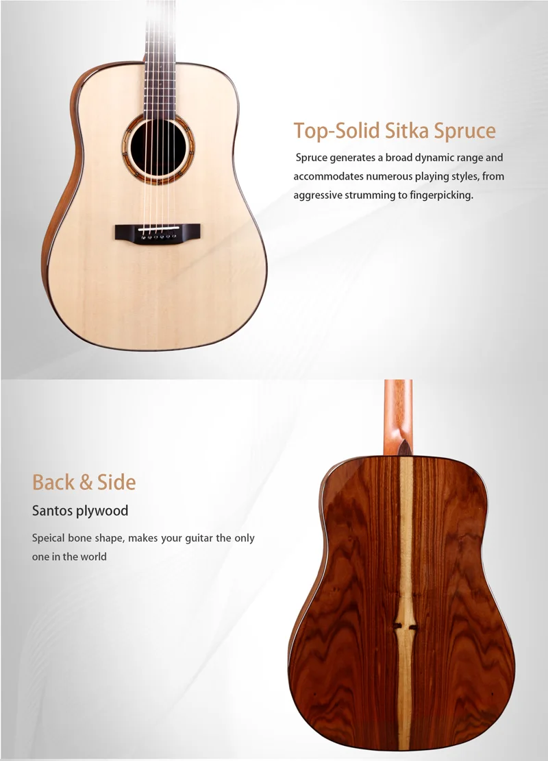 Acoustic guitar professional.jpg