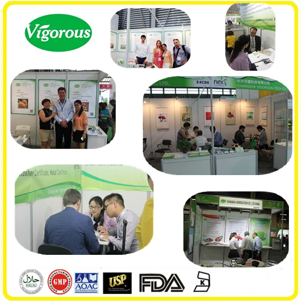 exhibition (2)