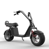 

electro scooter with lithium battery