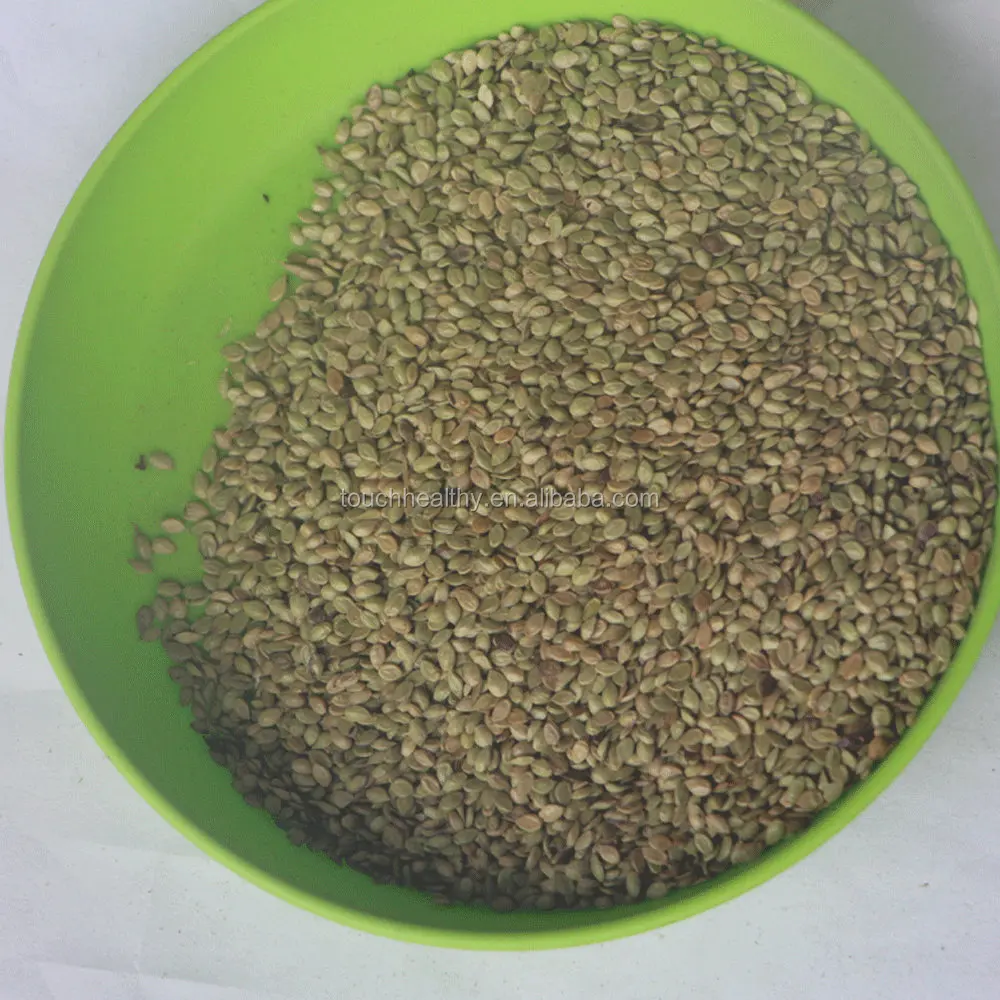 
Touchhealthy supply paspalum notatum flugge seeds grass seeds for planting 