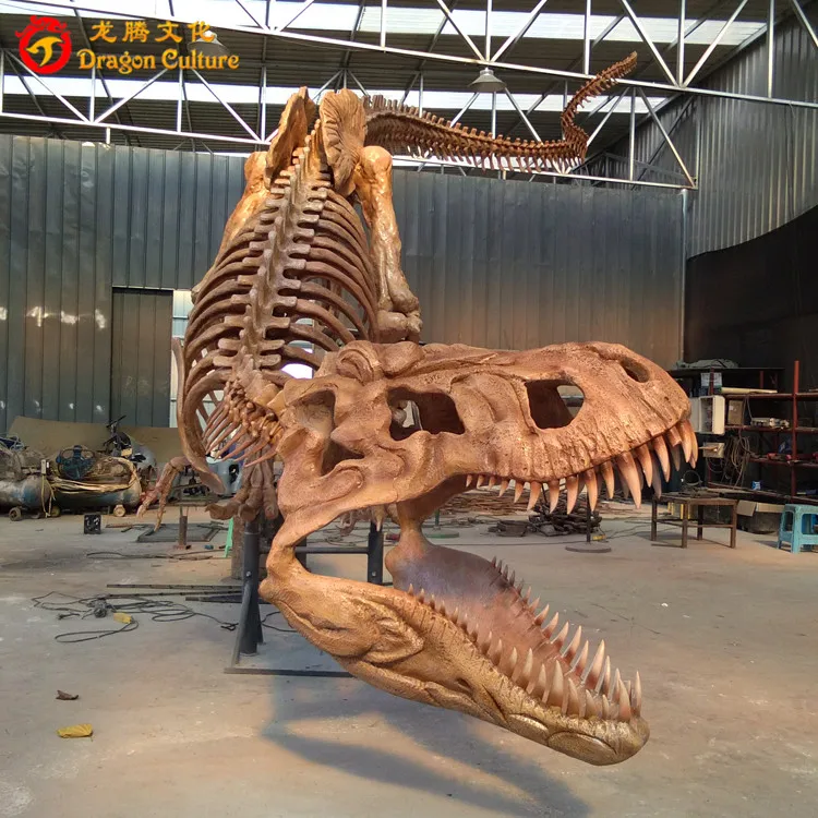 Original Size T Rex Skull Fossils Dinosaur Skull For Sale In Japan Buy Original Size Dinosaur Skull For Sale Dinosaur Fossils Japan T Rex Skull Fossils Product On Alibaba Com