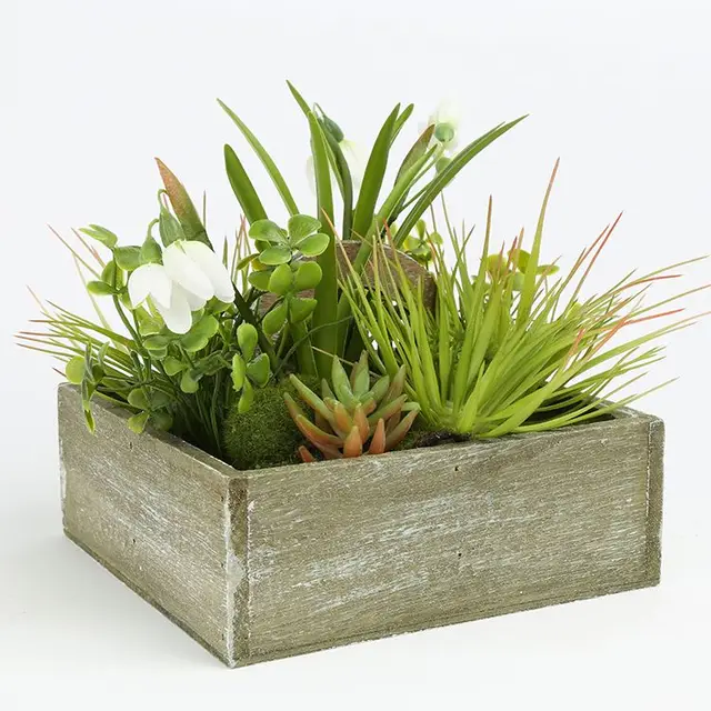 2017 different types mini square pot plant flower