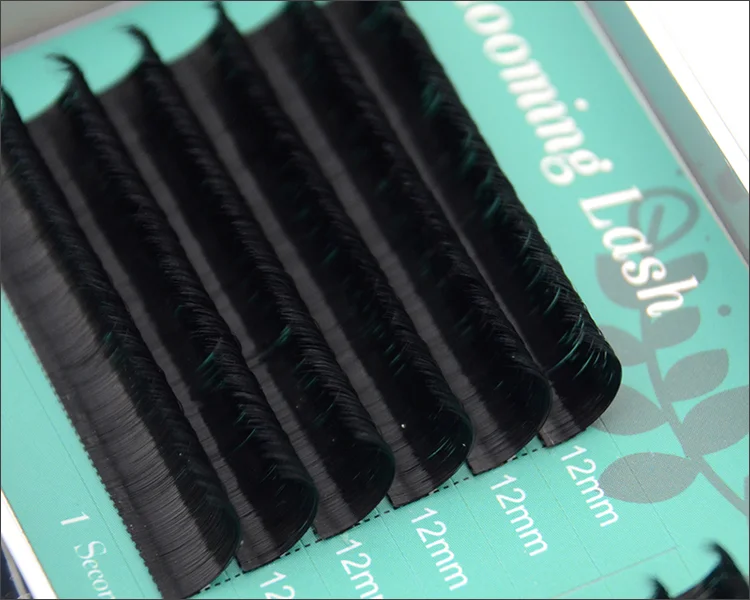 lash 008615666829271