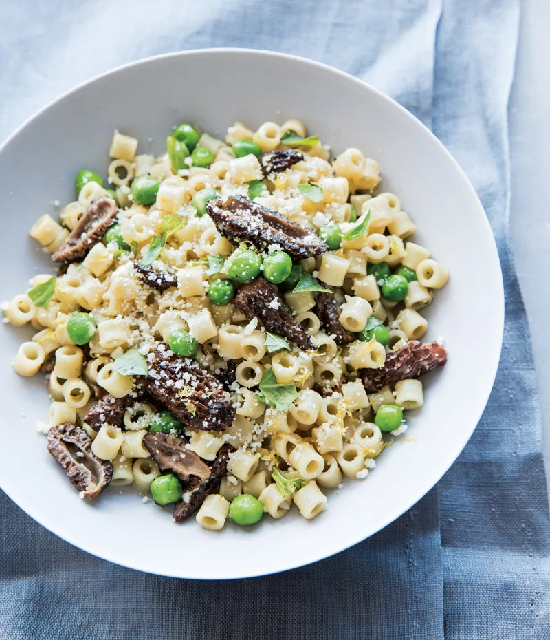 
Detan Wild Morehella/Names of Mushrooms 