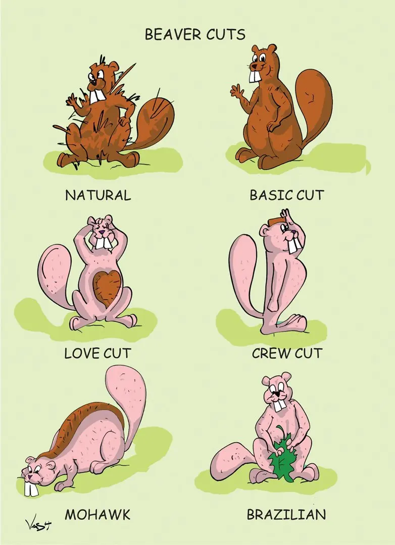 Beaver Licking