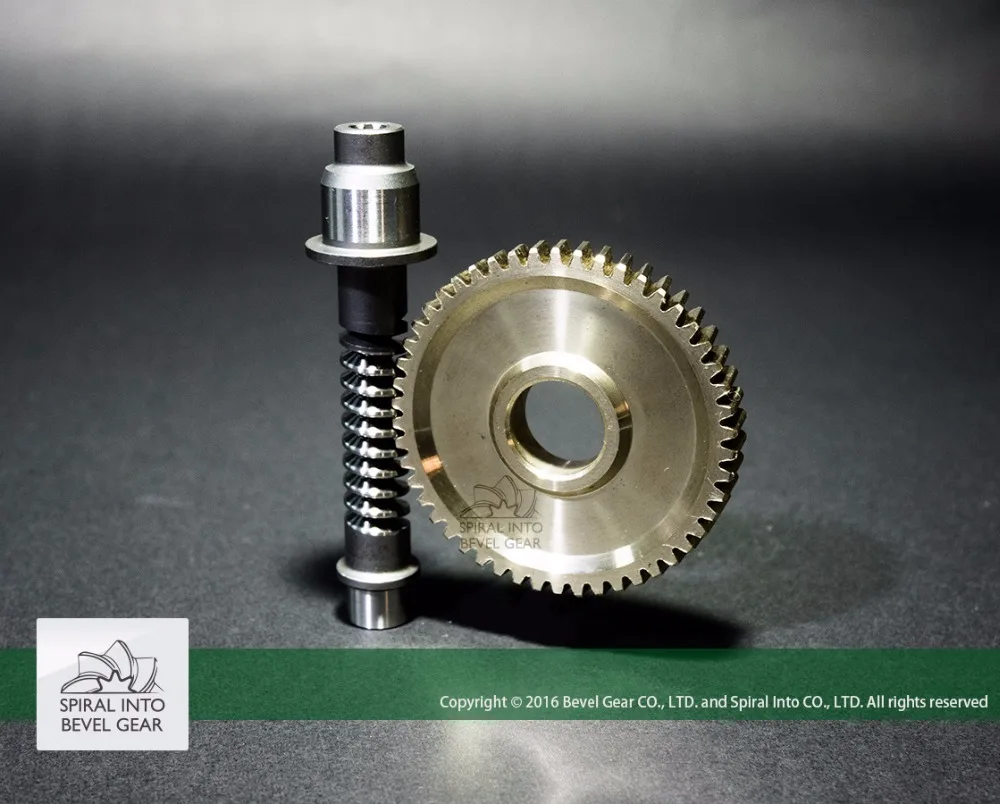 
High Quality Brass Worm Gear set for Speed Reducer 