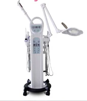 

Professional Multifunction Facial Beauty Machine hot steamer machine