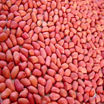 red.jpg