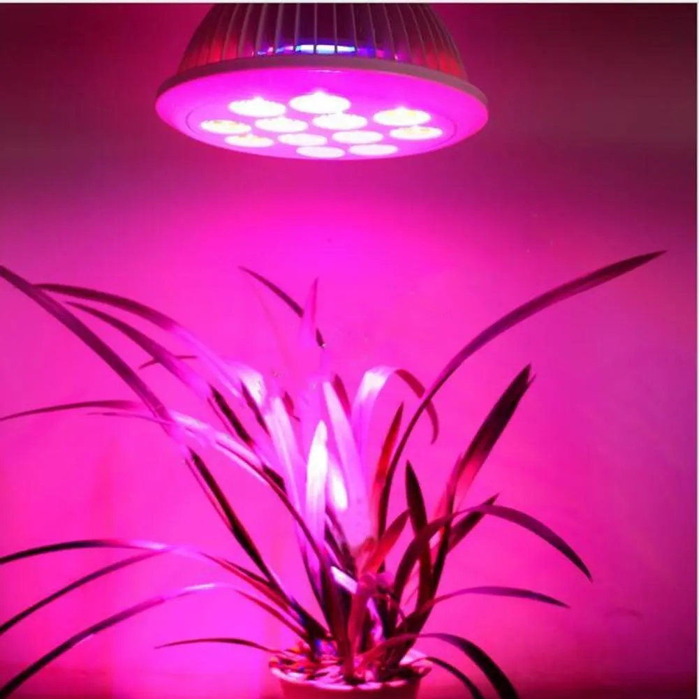 Wei-d 12W Real Grow Light ,120 Degree LED Grow Light Bulbs for Greenhouse, Bonsai and Hydroponic Garden, Full Spectrum Indoor Garden Growing Lamps with Wide Area Coverage , 12W