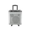 2.1 portable speaker dvd speaker karaoke 10 inch portable trolley speaker ,optical 2.1