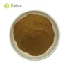 High Quality Corn Silk Extract