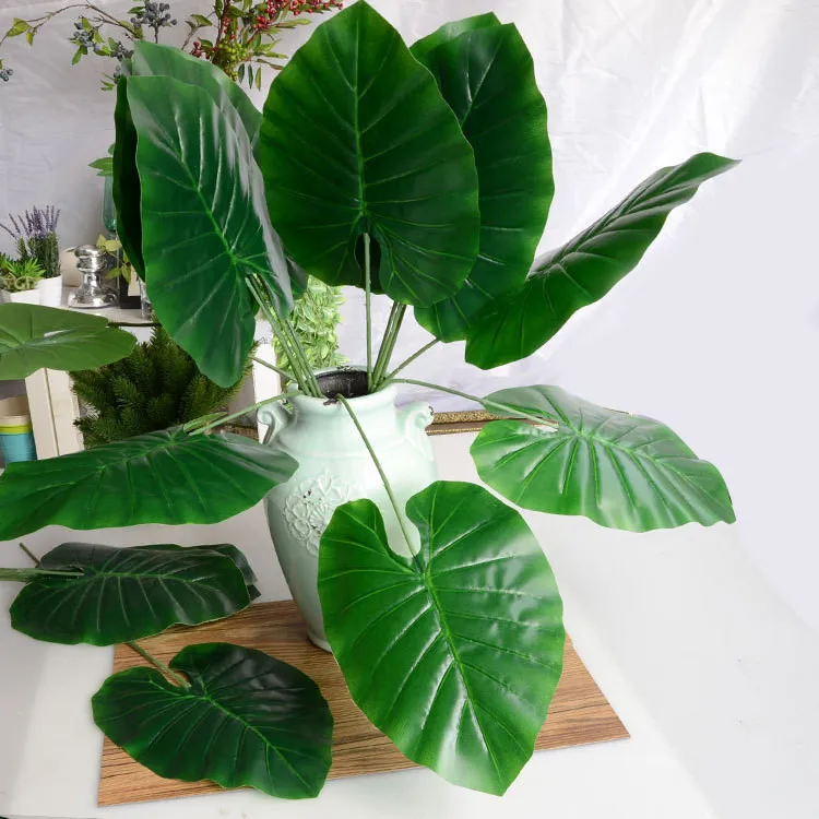 monstera (3).jpg
