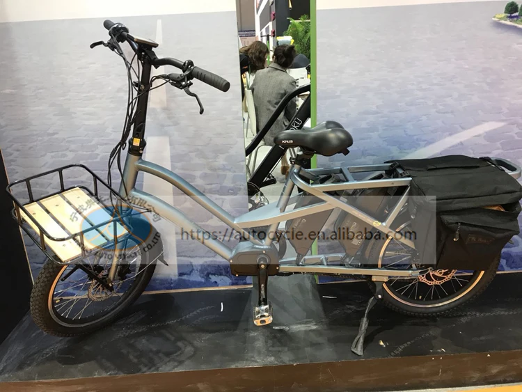 electric bike with swappable battery