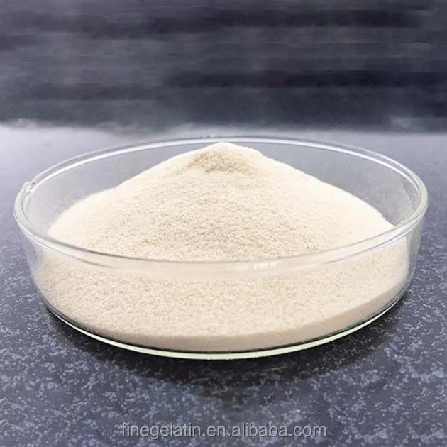 gelatin powder bulk