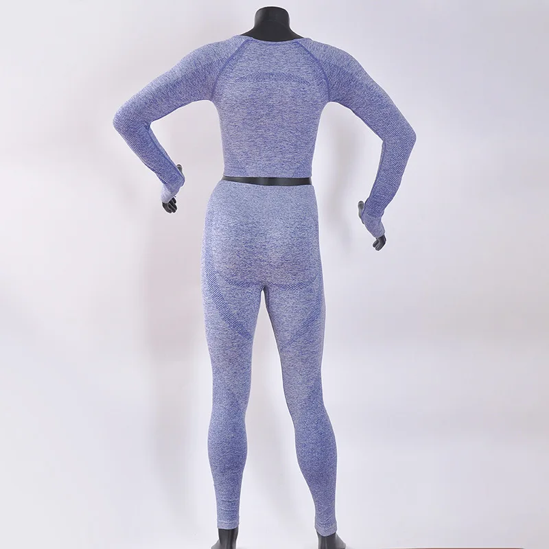 

2 Piece Yoga Set Tight Sleeves Seamless Shark Leggings Strappy Sports Bra Women Sports Suit Gym Fitness Clothing, Grey;purple;blue