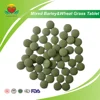 Best Selling Mixed Barley and Wheat Grass Tablet