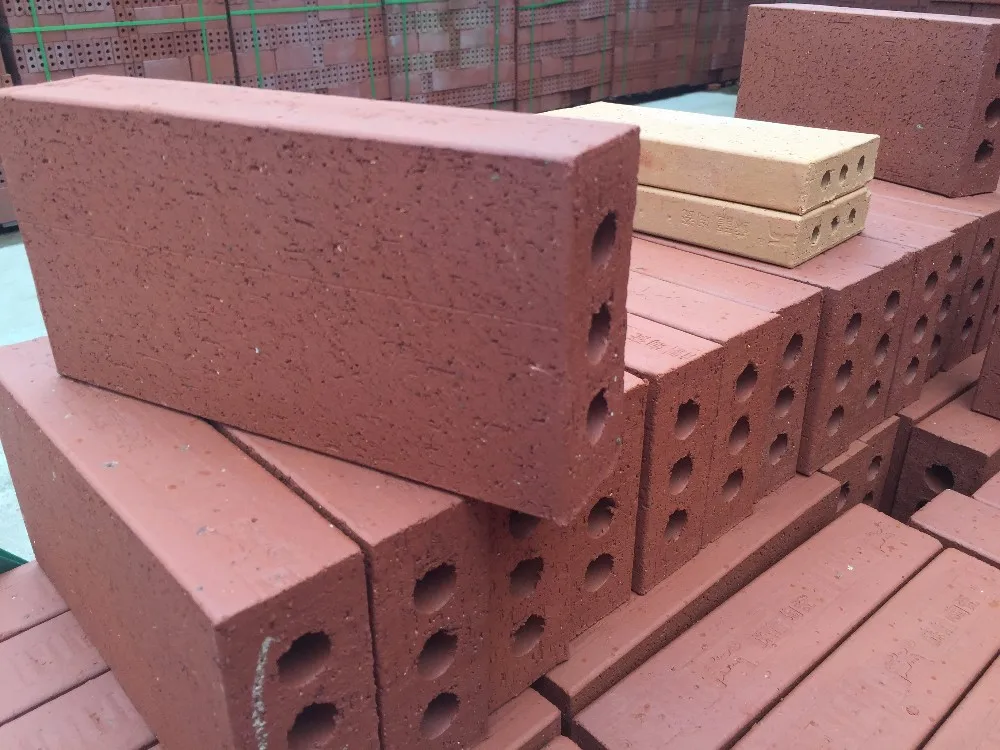 red paving brick.JPG