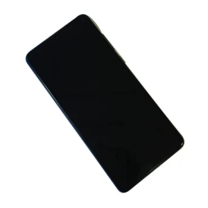 Mobile Phone Mate 20 Plus Display