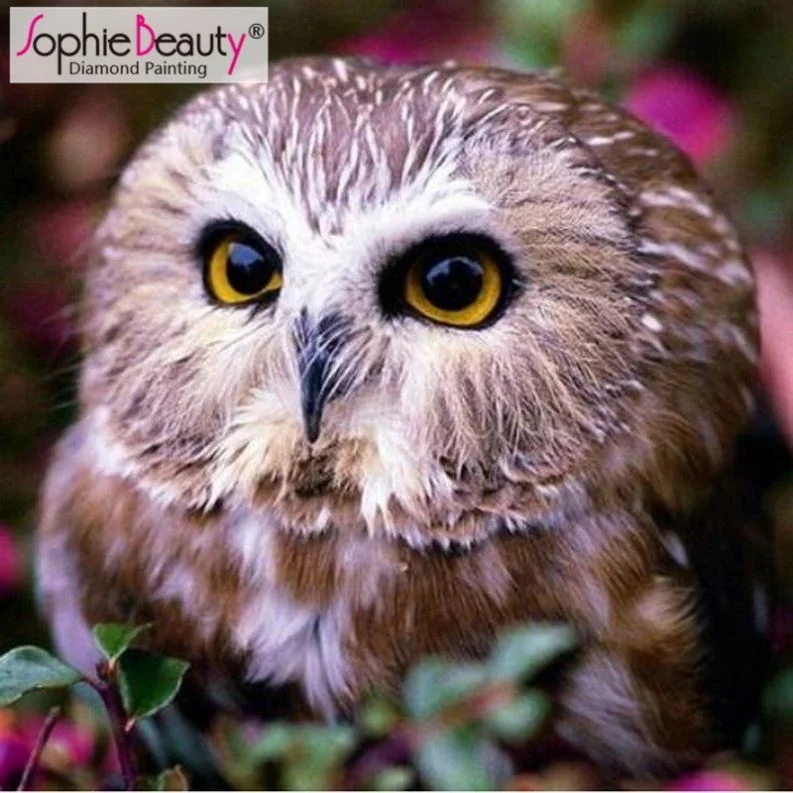 Aliexpress Hot Sale Beauty Mos