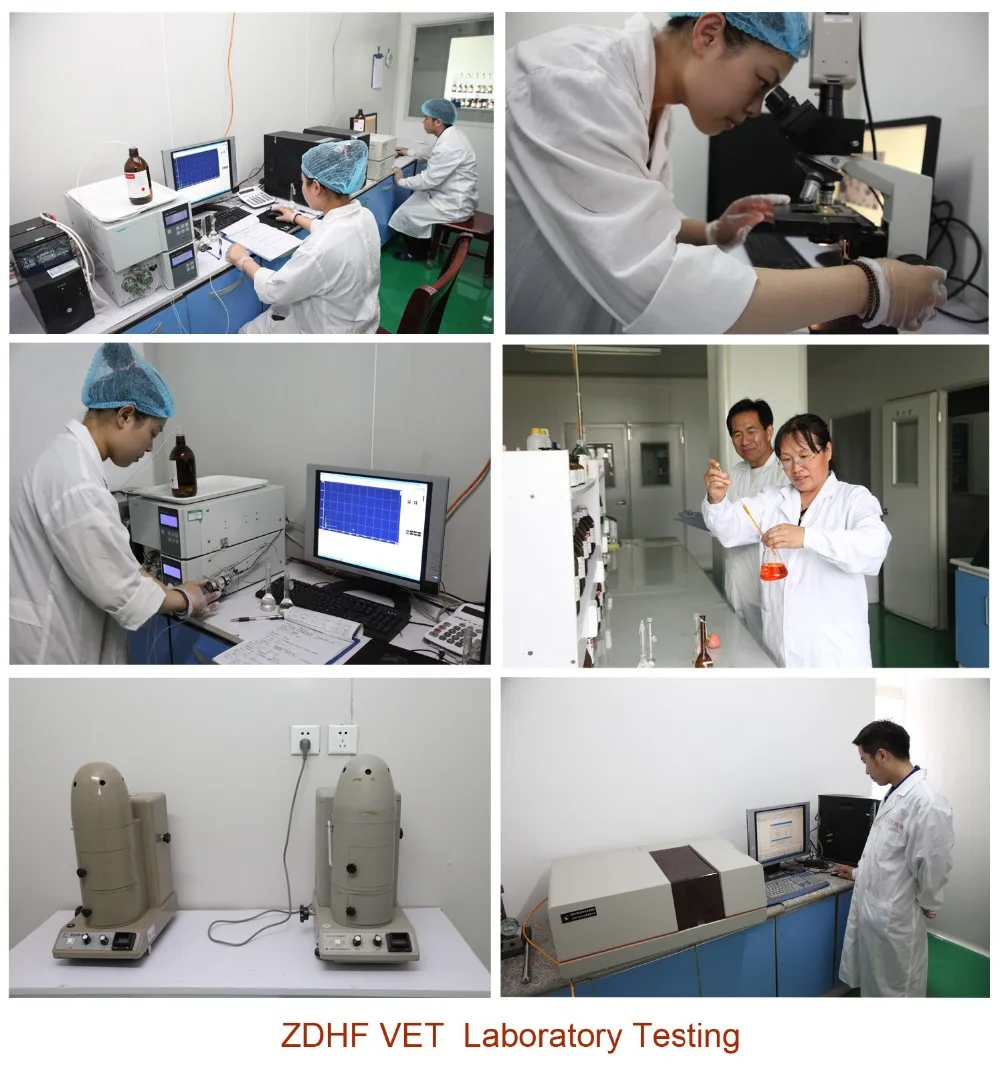 laboratory testing.jpg