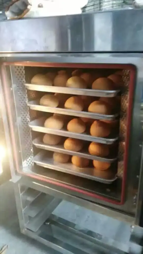 
5 trays countertop gas convection steam oven 220v industrial bakery equipment 