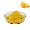 Hot sale Organic Customized Package FD Mango Piece/Powder/diced/flakes