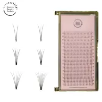 

OEM Premade volume fans vegan lashes eyelash extensions pre made volume fans 2D 3D 4D 5D 6D 10D 20D