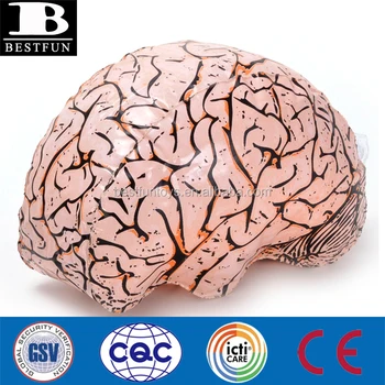 inflatable brain toy