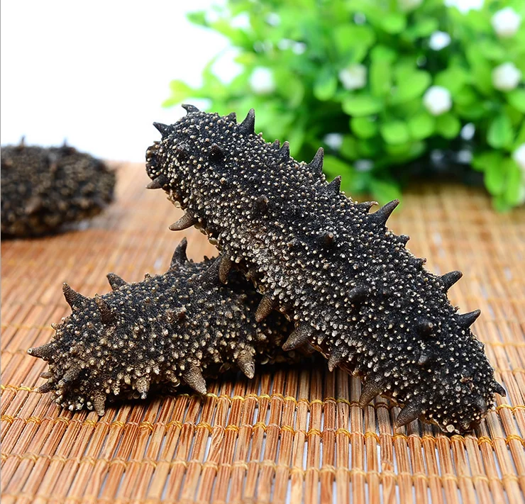 
Best price of natural sea cucumber/trapang,taiwan seafood importers 