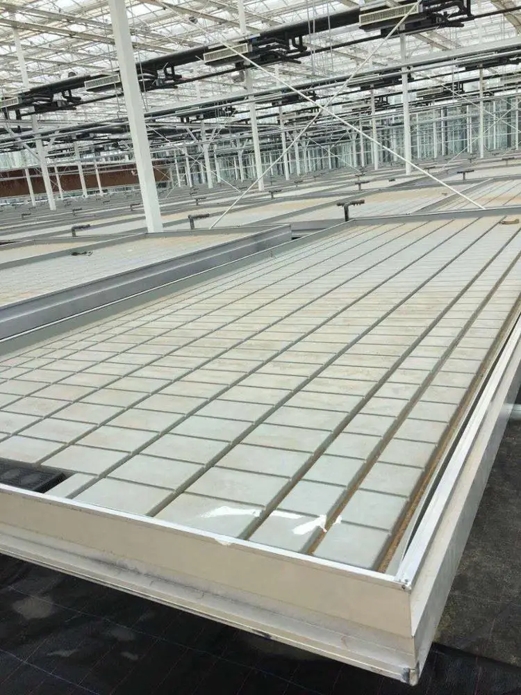 
Cost-effective Hydroponic Seedling Bed plant nursery 