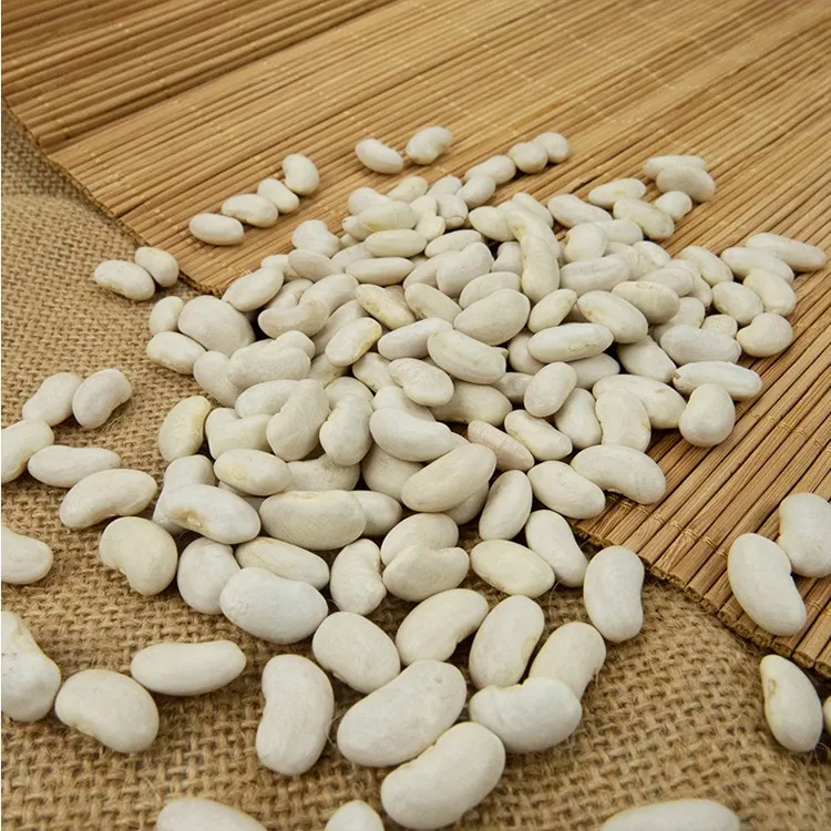 Types Of White Kidney Beans Long Shape Crop 2019 Buy White Kidney