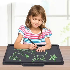 20 Inch Digital Drawing Board LCD Screen