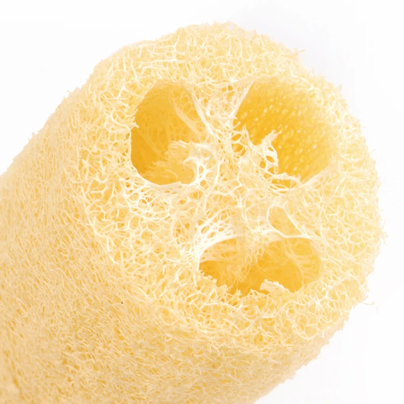 loofah sponge (4).jpg