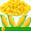 /product-detail/fresh-canned-sweet-corn-in-tin-1443451408.html
