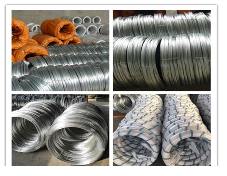 Wire Mesh For French Wire Sae1008 Low Carbon Steel Wire Rod 5.5mm Sizes