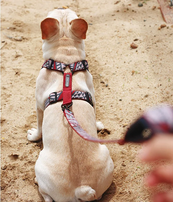 Cute Reversible Dog Harness Walking Halter Best Designer Pet
