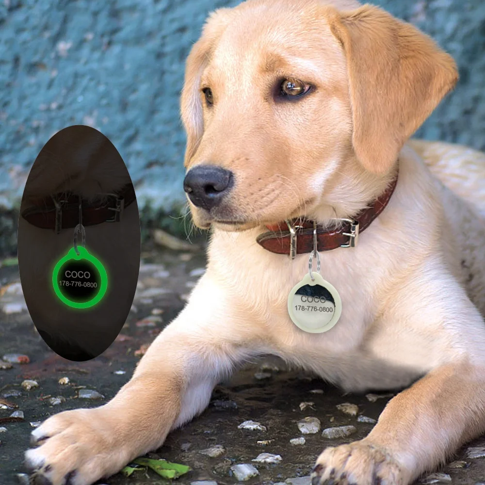 厂家批发夜光宠物狗标签,激光名称狗牌空白