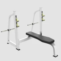 

High Quality Gym Equipment Flat / Incline / Decline Bench Press